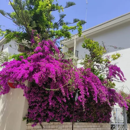 Garden & Private Parking * Trani